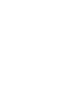 Valsts policija