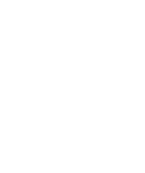 Valsts policija