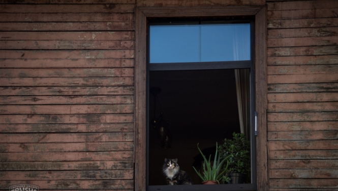 Atklājot Siguldas privātmāju apzagšanas sēriju, policisti atgūst visas nozagtās mantas