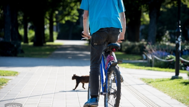 Aizturējām vīrieti, kurš Raganā no kāpņu telpām nozadzis divus velosipēdus