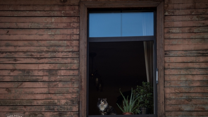 Aizturēts vīrietis, kurš šovasar apzadzis 15 dzīvokļus Rīgas centrā