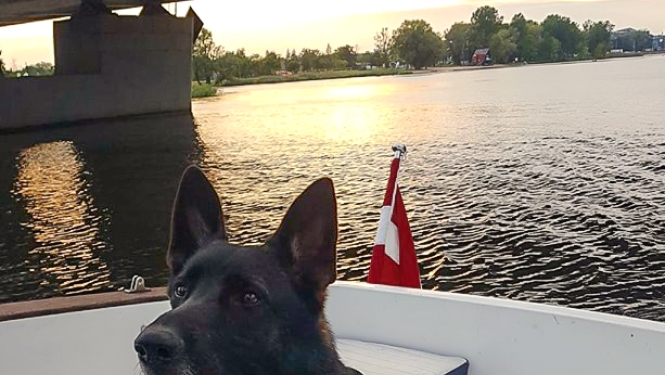 Policisti aiztur Ilūkstes ielas narkotiku tirgotāju; dienesta suns Vatsons atrod narkotikas