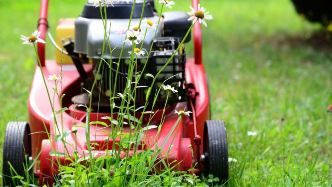 Aculiecinieka un policijas veiksmīgas sadarbības rezultātā Mellužos nekavējoties aizturēts šķūnīša apzadzējs
