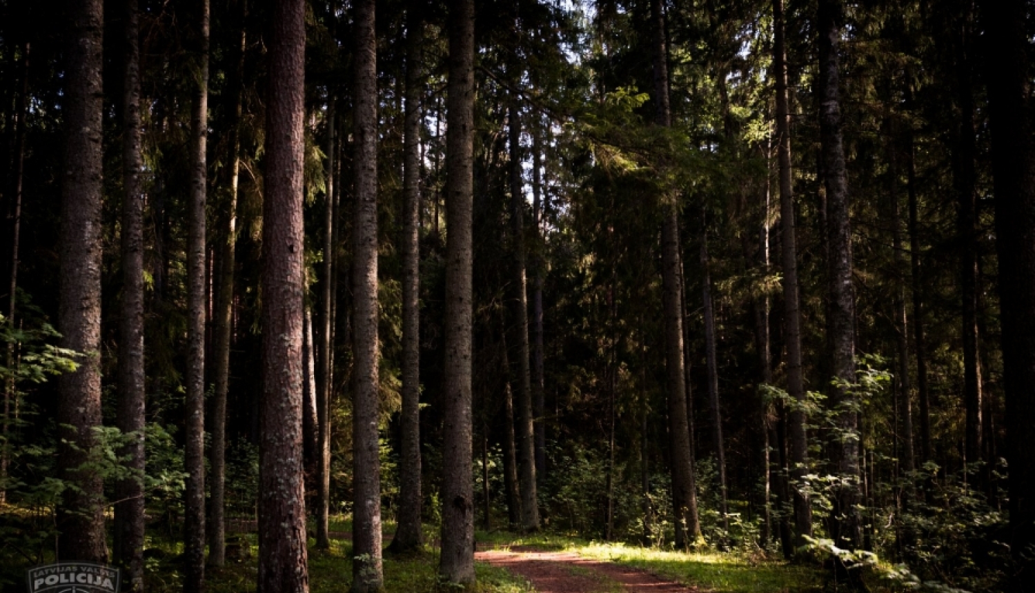 Bauskā par zādzību un nelikumīgu brīvības atņemšanu aizturētas četras personas