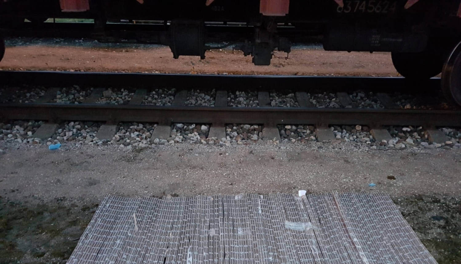 Rīgā kravas vilciena vagonā starp baļķiem atrastas nelegālās cigaretes