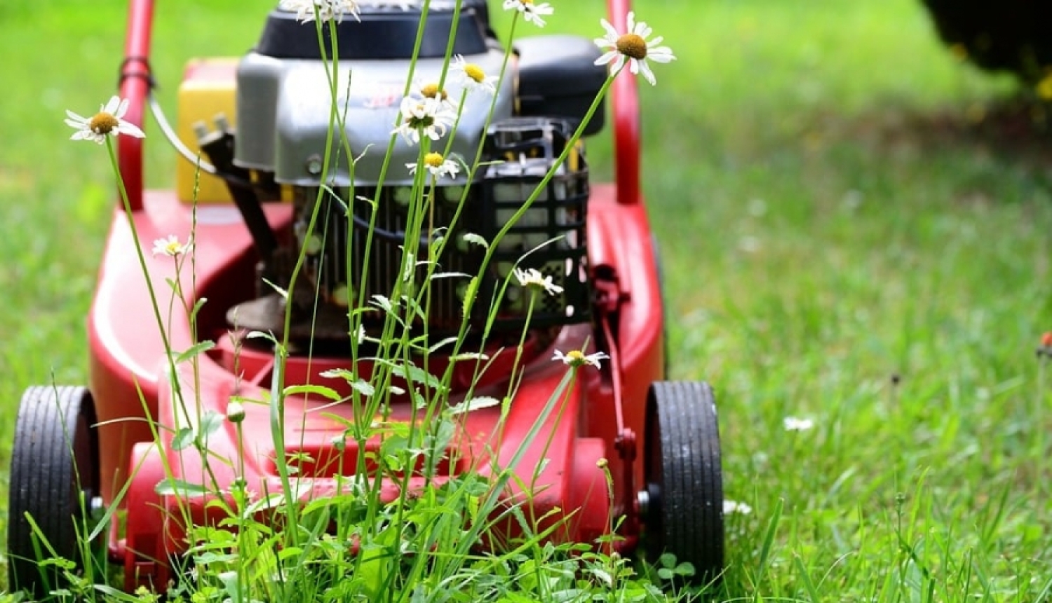 Aculiecinieka un policijas veiksmīgas sadarbības rezultātā Mellužos nekavējoties aizturēts šķūnīša apzadzējs