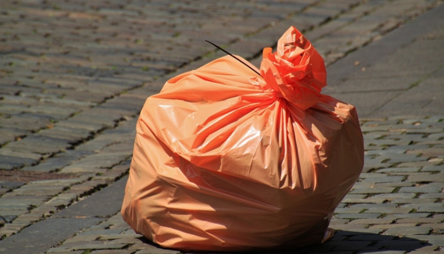 Operācija "RETROVIRUS" – cīņa pret sanitāro atkritumu apsaimniekošanas pārkāpumiem