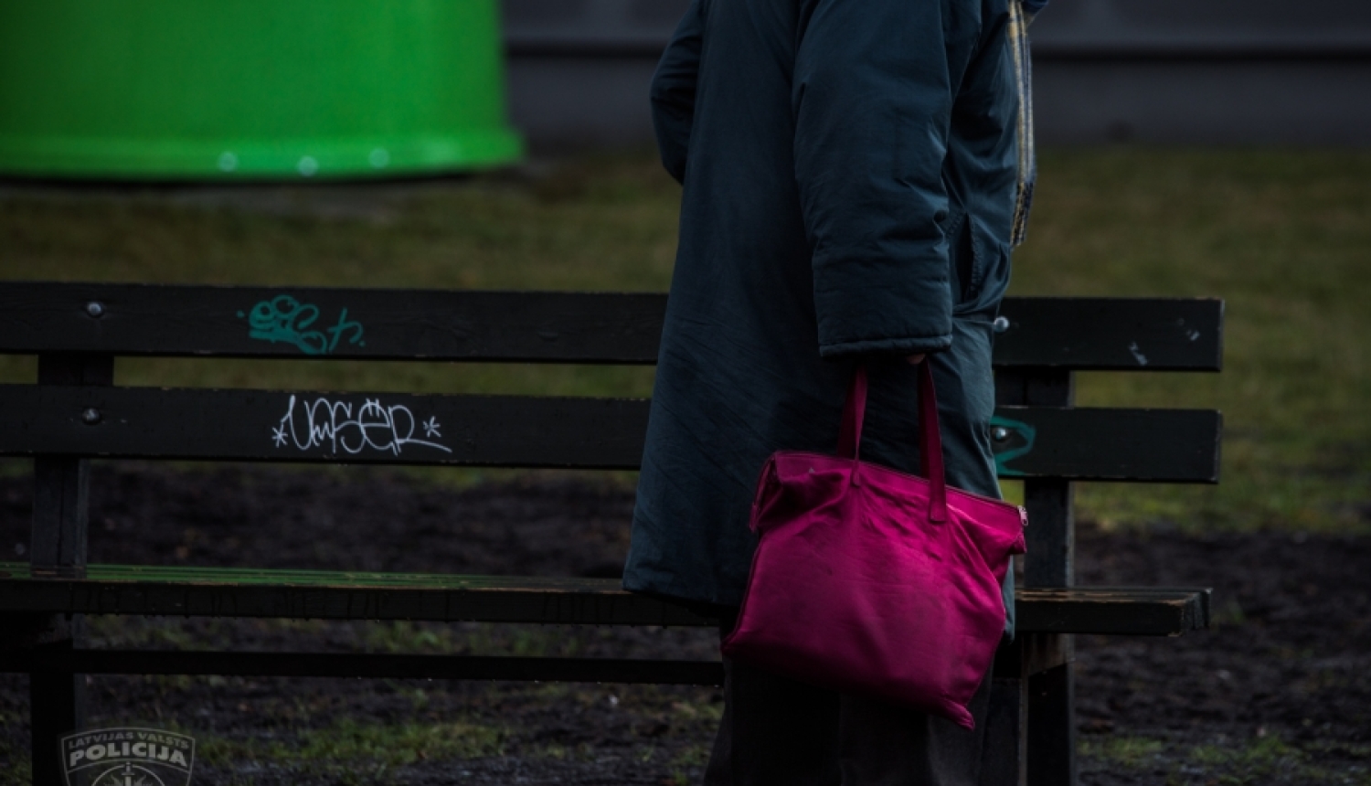 Rūdīta kabatzagle Imantā apzog sirmgalvi un nekavējoties tiek notverta